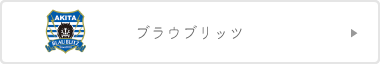 ブラウブリッツ