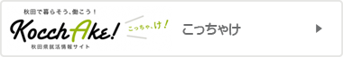 秋田市