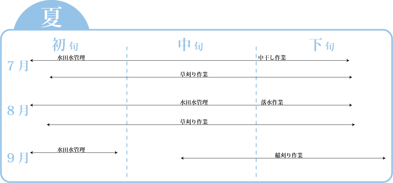 年間行事（夏）