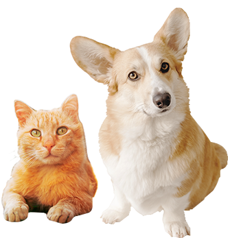 サンペット秋田自衛隊通店